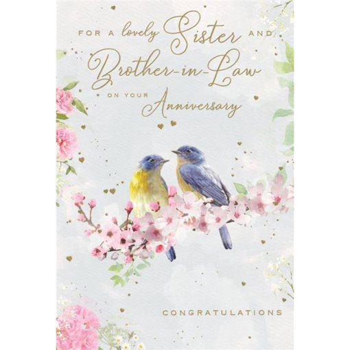 Picture of FOR A LOVELY SISTER AND BROTHER IN LAW ANNIVERSARY CARD